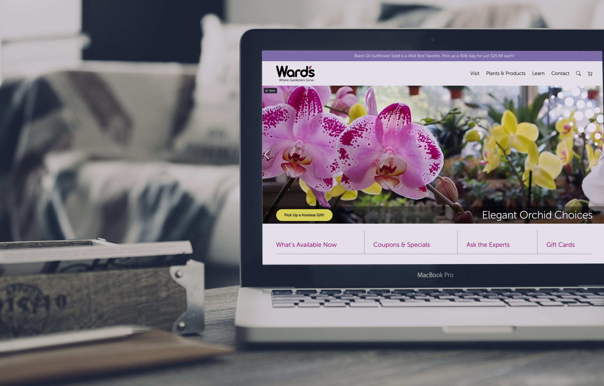 wards-site-soft-cool-NEW